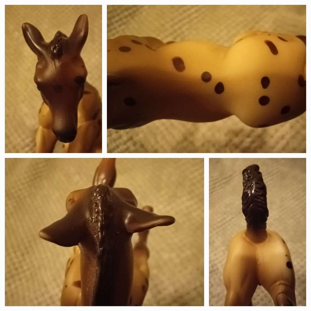 Breyer Dakotah - Picture 13 of 15